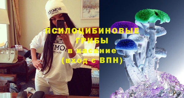 mdpv Киреевск
