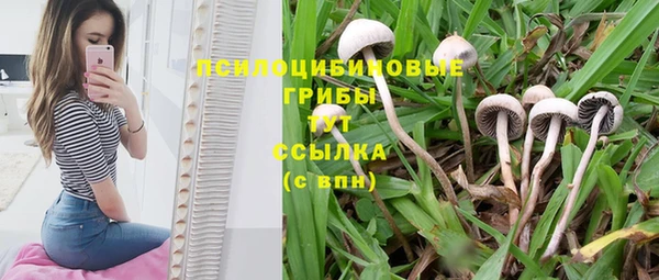 ешки Киренск
